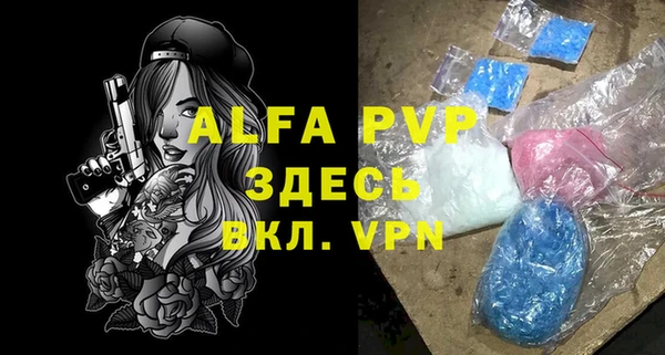 крисы Алексин