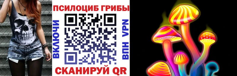 Псилоцибиновые грибы Cubensis  даркнет сайт  Сунжа 