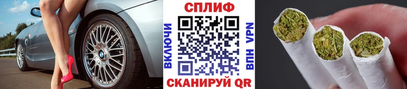 Каннабис SATIVA & INDICA  shop наркотические препараты  Сунжа  наркотики 